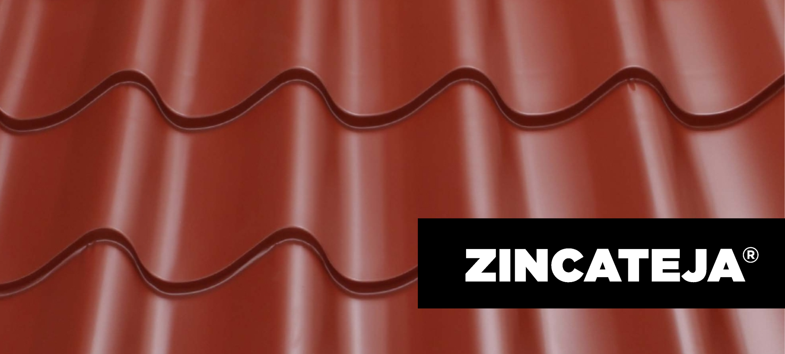 Zincateja Armadillo Steel S.A. de C.V.