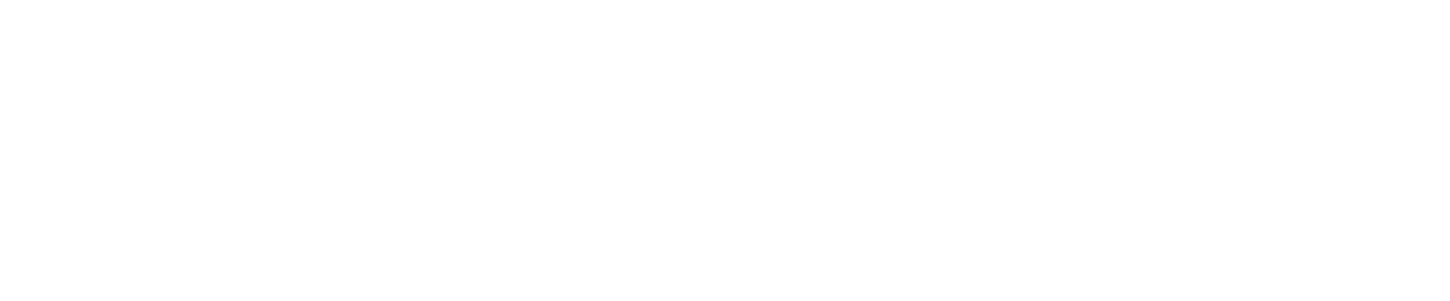 Armadillo Steel S.A. de C.V.